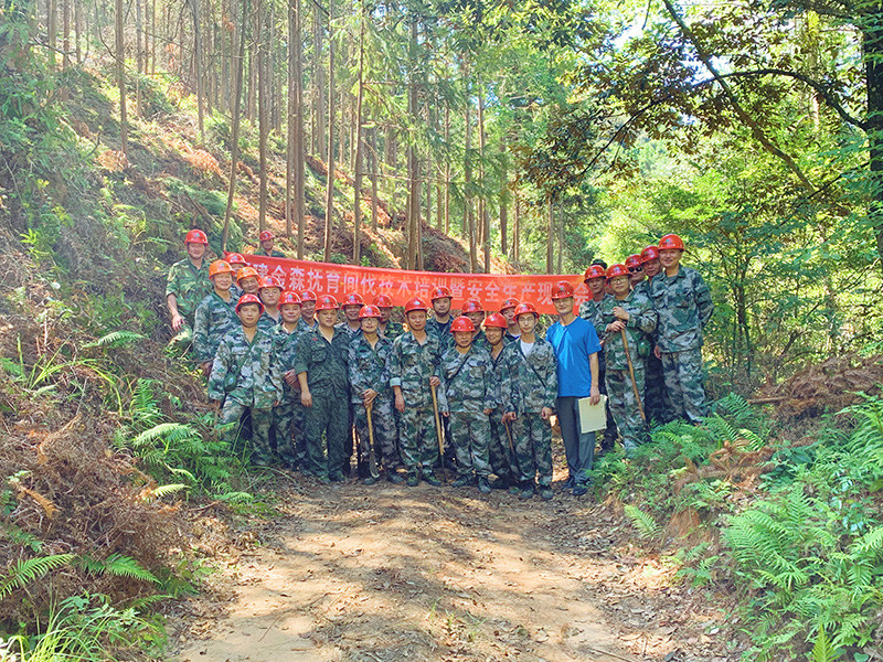嚴把森林培育質量關，譜寫資源培育新篇章