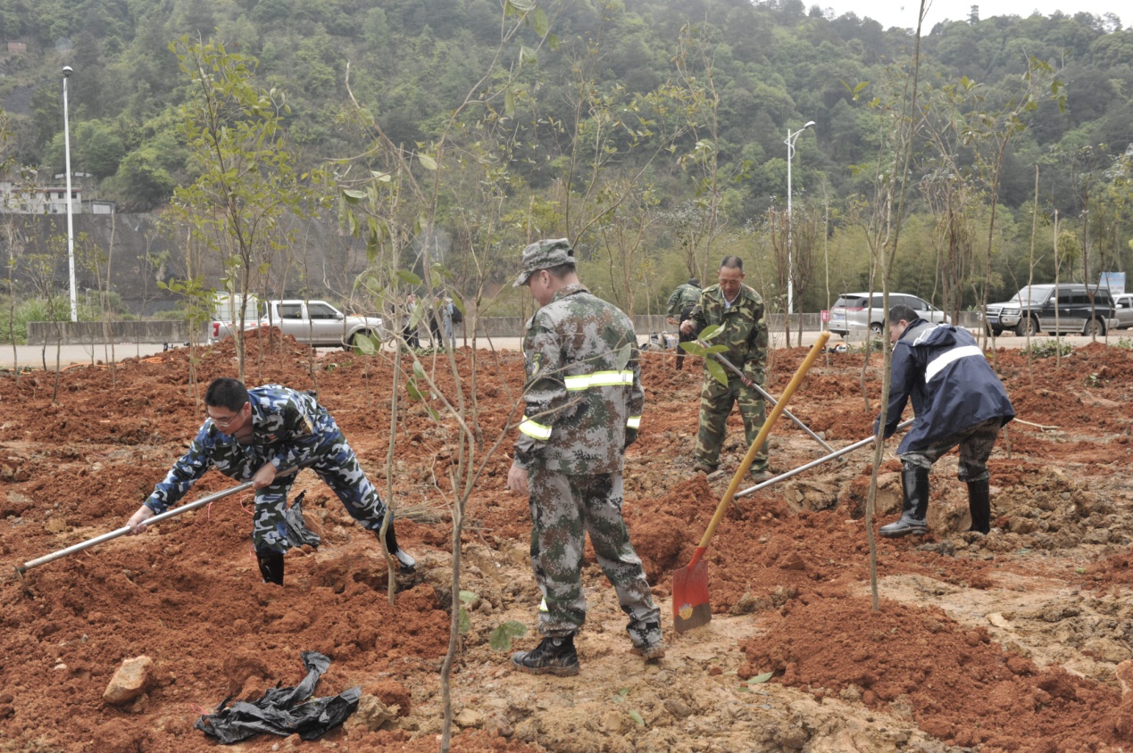 陽春三月雨,正是植樹好時(shí)節(jié) 陽春三月雨,正是植樹好時(shí)節(jié)