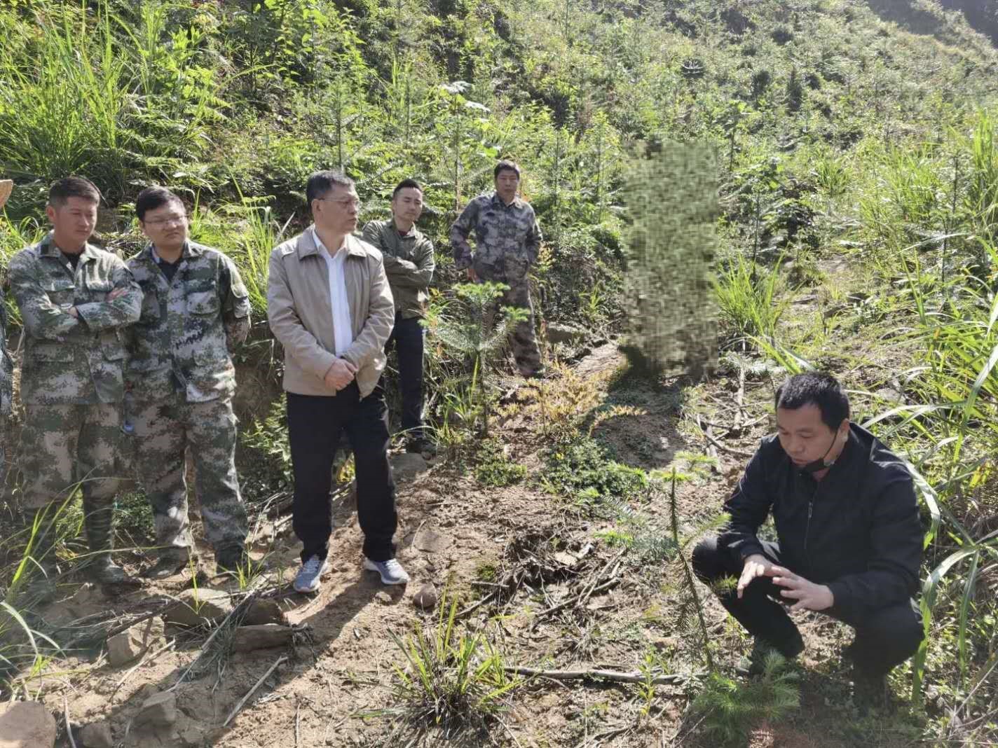 福建金森召開(kāi)幼林撫育現(xiàn)場(chǎng)會(huì) 福建金森召開(kāi)幼林撫育現(xiàn)場(chǎng)會(huì)