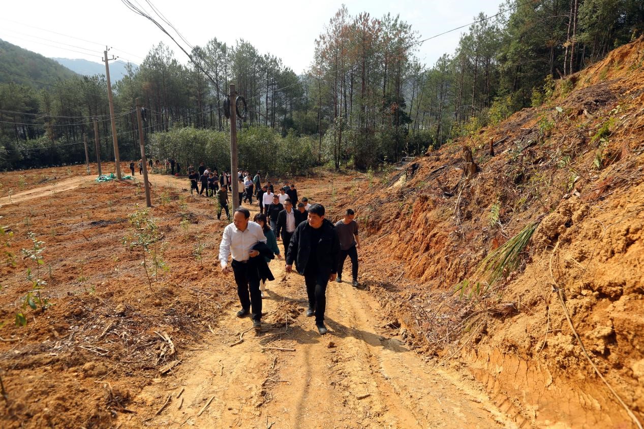 不負春光好，搶播萬畝林 ——將樂縣村企合作造林工作現場會在福建金森召開