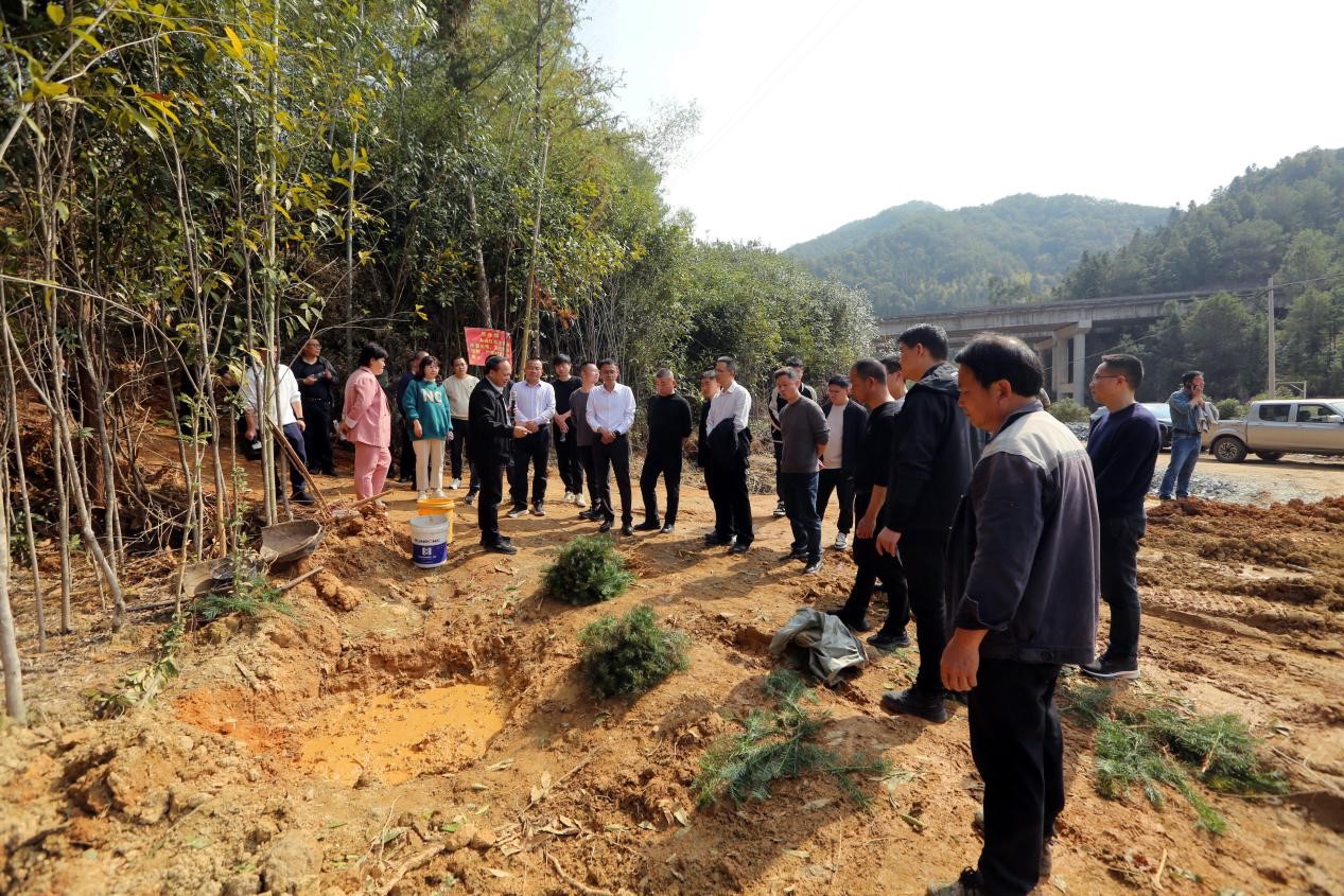 不負春光好，搶播萬畝林 ——將樂縣村企合作造林工作現場會在福建金森召開